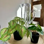 Knusperhaeuschen Mit Sauna بيت للعطل *