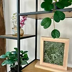بيت للعطل Knusperhaeuschen Mit Sauna