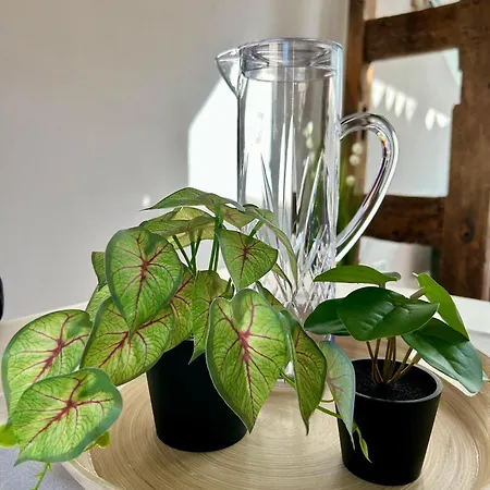 Knusperhaeuschen Mit Sauna بيت للعطل *