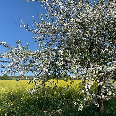 Knusperhaeuschen Mit Sauna Casa de Férias Herschbach
