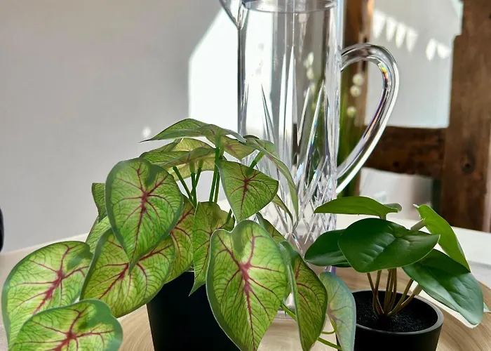 Knusperhaeuschen Mit Sauna בית נופש *