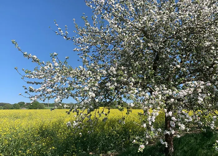 Knusperhaeuschen Mit Sauna בית נופש Herschbach